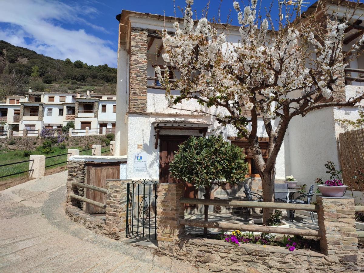 Casa Alpujarrena Fina Numero 27 Bubión Esterno foto